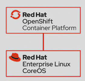 Platform and Host Perspective